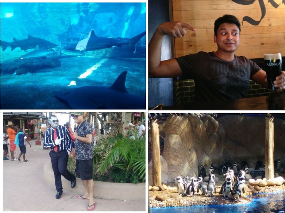 Photo of Backpacking in South Africa : Garden Route, Kruger Park, Cape Town & Johannesburg by Gautam S