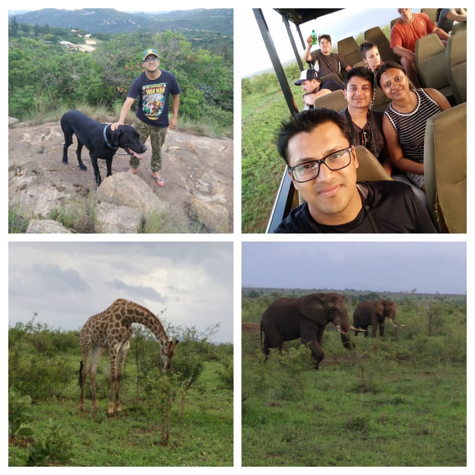 Photo of Backpacking in South Africa : Garden Route, Kruger Park, Cape Town & Johannesburg by Gautam S