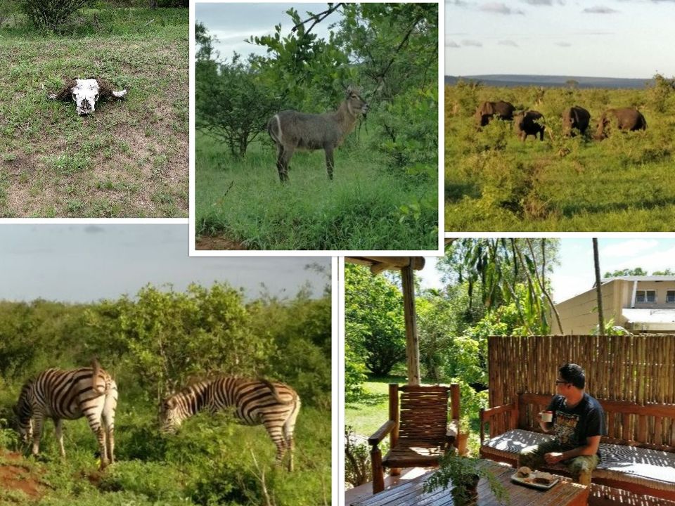 Photo of Backpacking in South Africa : Garden Route, Kruger Park, Cape Town & Johannesburg by Gautam S