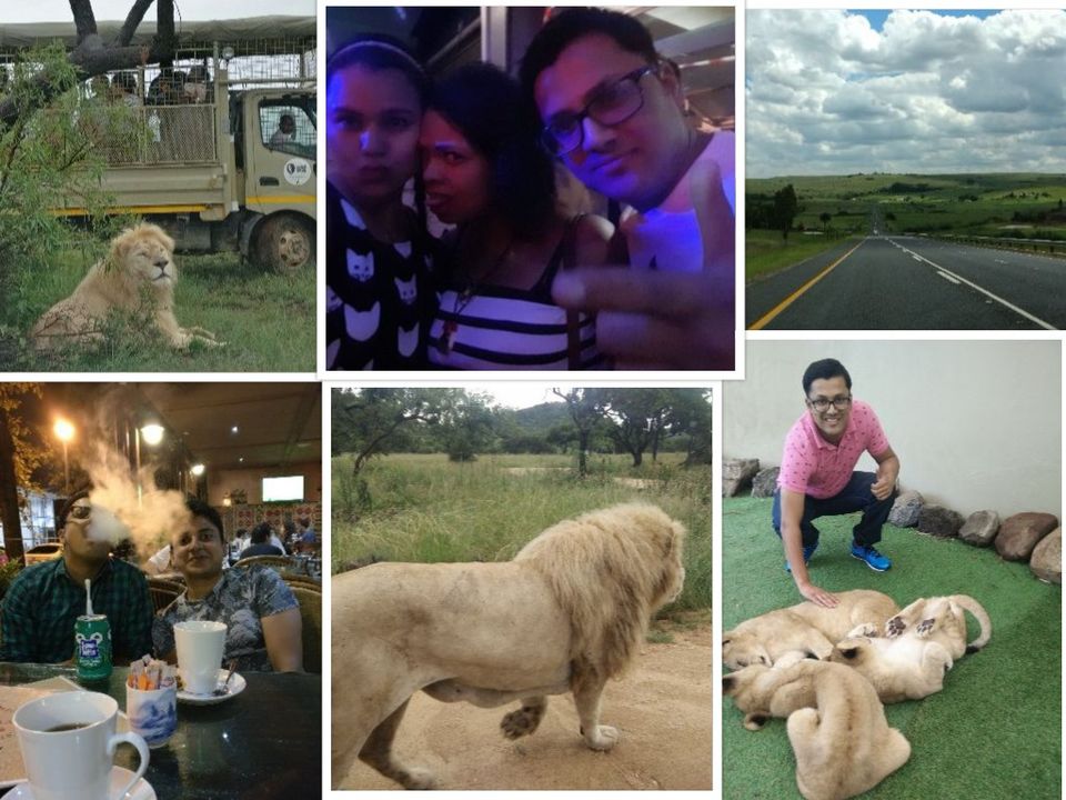 Photo of Backpacking in South Africa : Garden Route, Kruger Park, Cape Town & Johannesburg by Gautam S
