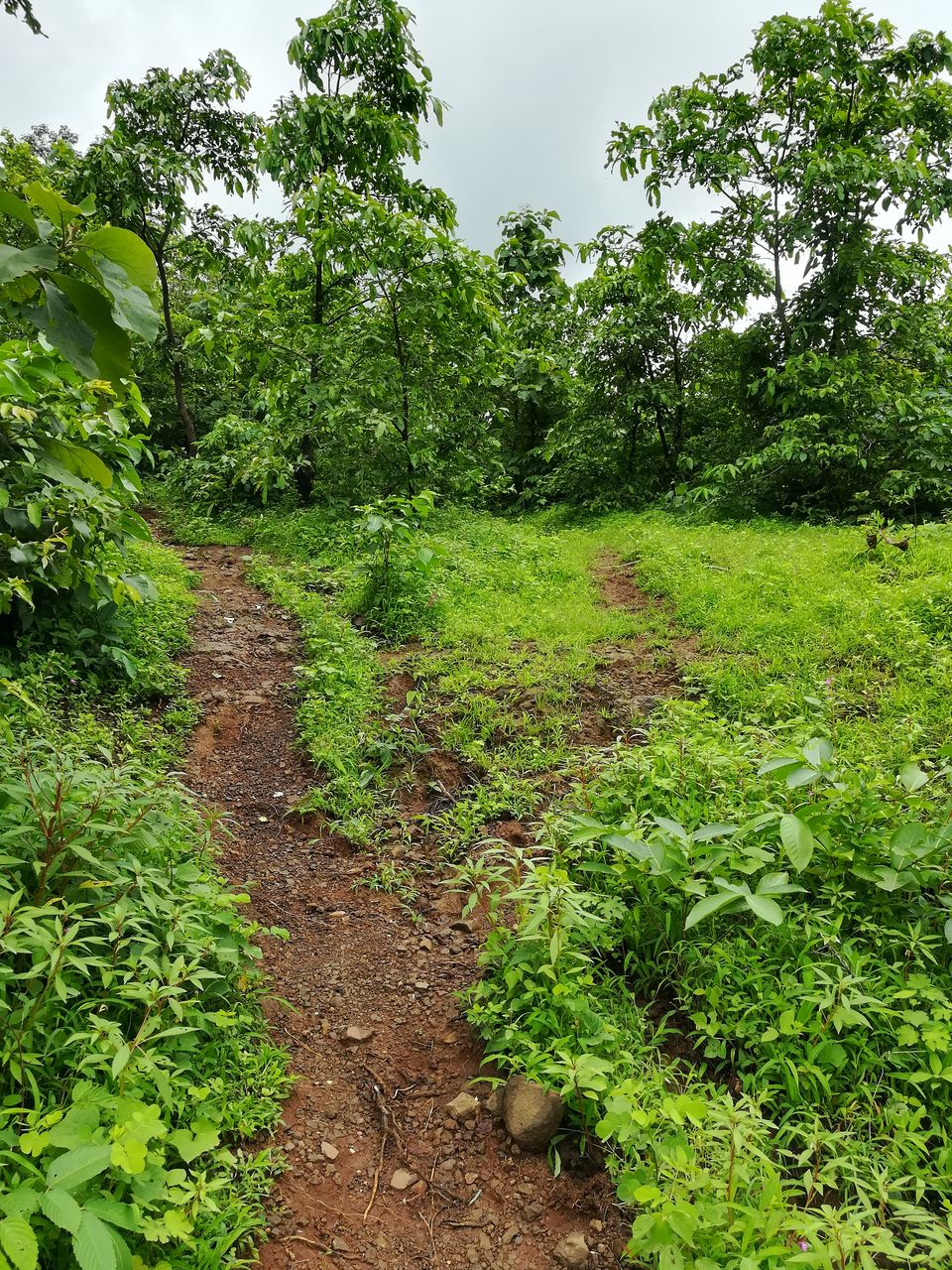 Photo of Garbett Plateau, Sondewadi, Maharashtra, India by Gautam S