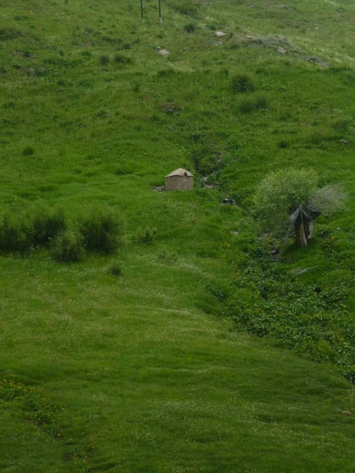 Photo of Girl GaNg ON !!! A trek to Sissu Valley in Himachal Pradesh by Vaidehi Kasat 
