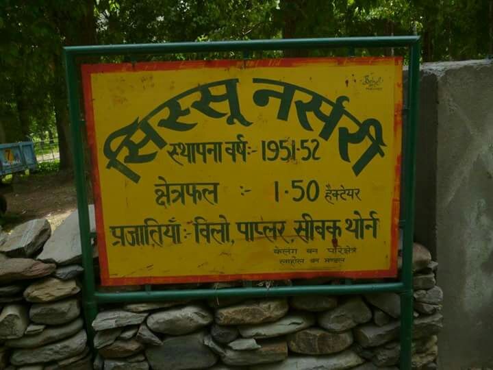 Photo of Girl GaNg ON !!! A trek to Sissu Valley in Himachal Pradesh by Vaidehi Kasat 