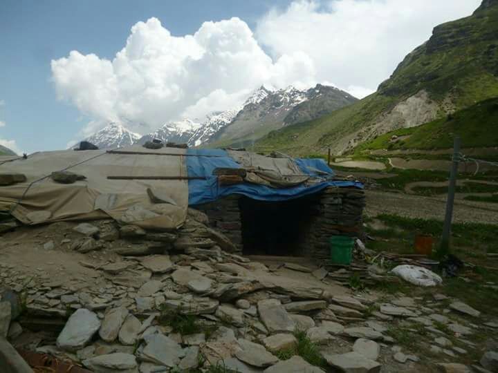 Photo of Girl GaNg ON !!! A trek to Sissu Valley in Himachal Pradesh by Vaidehi Kasat 