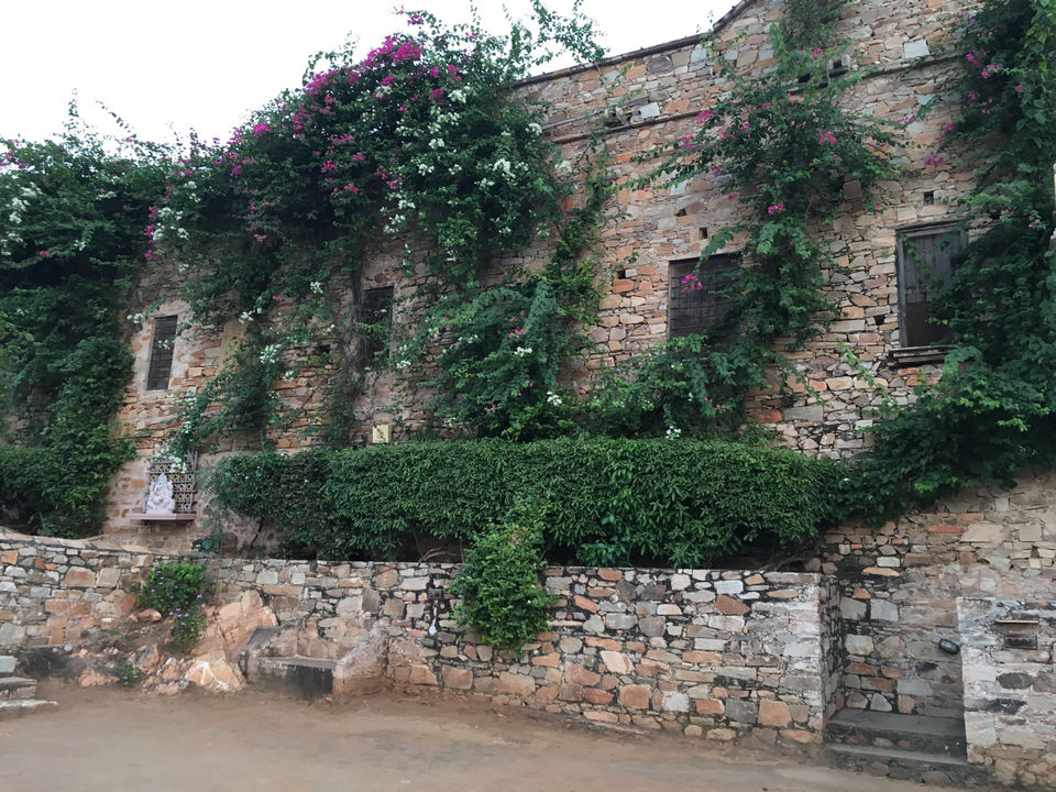 Photo of The Dadhikar Fort, Alwar, Rajasthan, India by Bedi Sisters