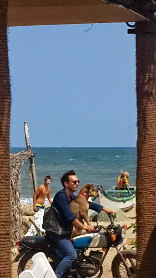 Photo of Pondicherry, Puducherry, India by Bedi Sisters