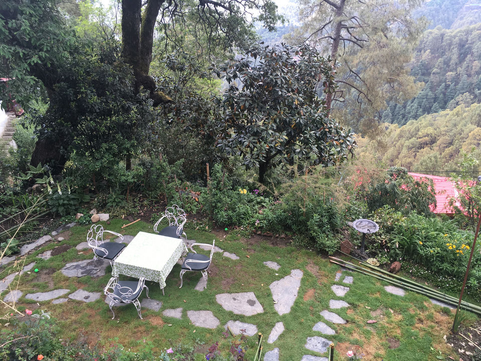 Photo of Sunnymead Estate, Not Your Usual Stay In Shimla by Bedi Sisters