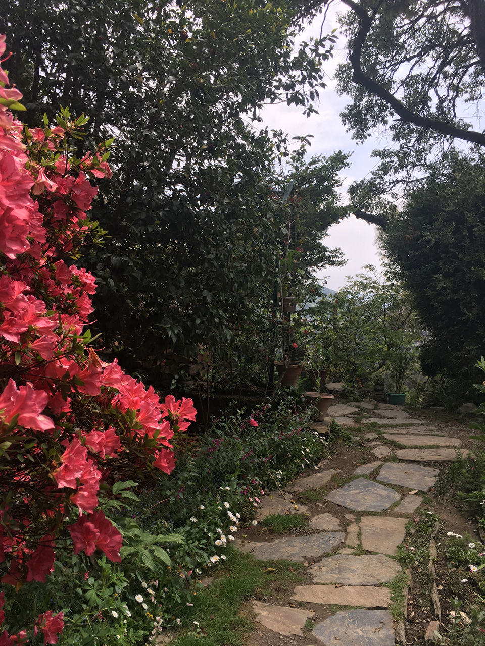 Photo of Sunnymead Estate, Not Your Usual Stay In Shimla by Bedi Sisters