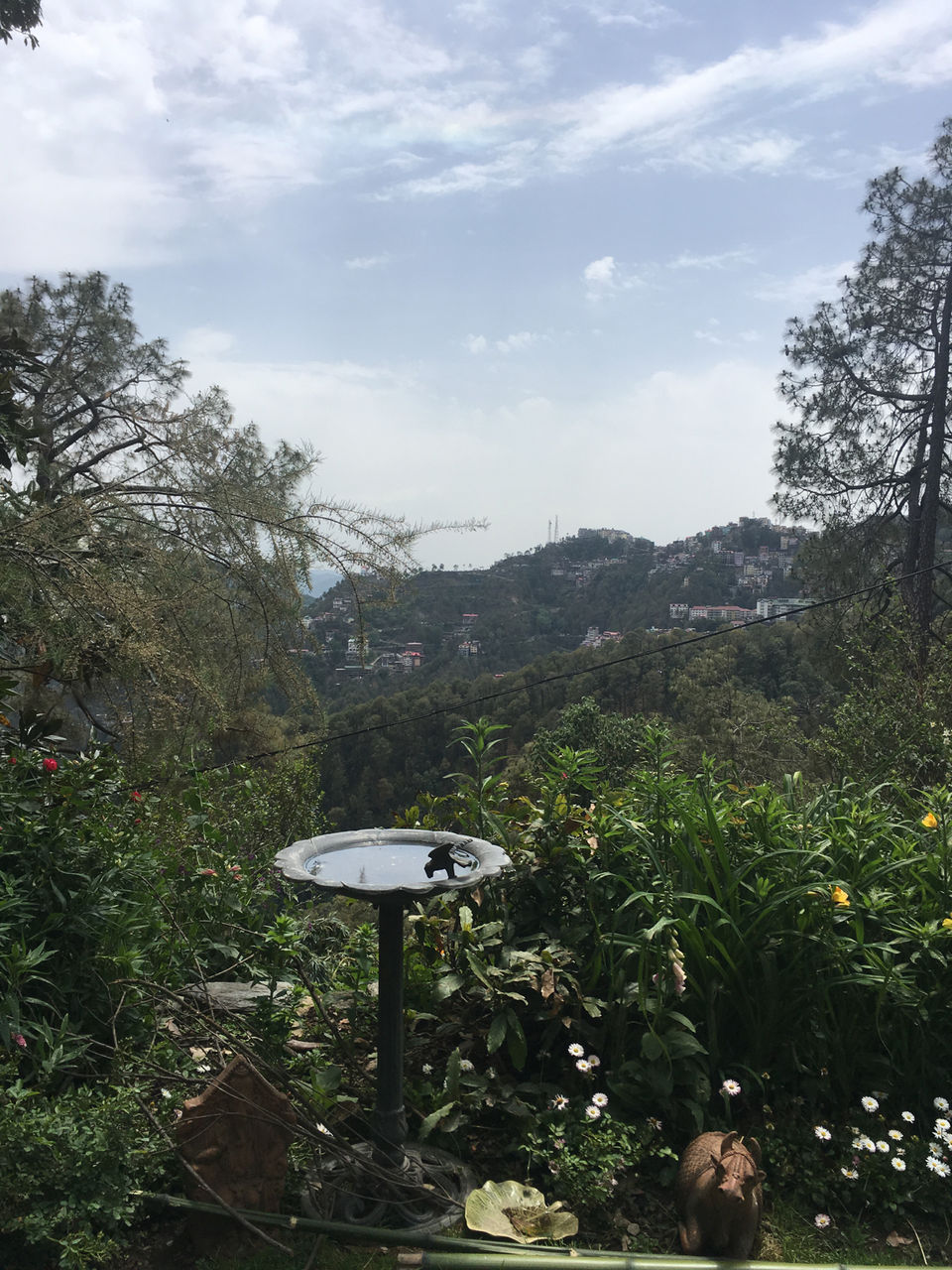 Photo of Sunnymead Estate, Not Your Usual Stay In Shimla by Bedi Sisters