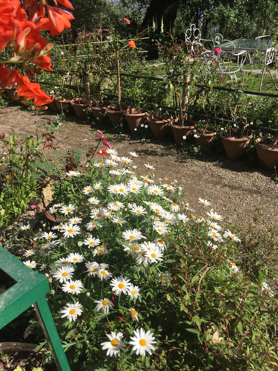 Photo of Sunnymead Estate, Not Your Usual Stay In Shimla by Bedi Sisters