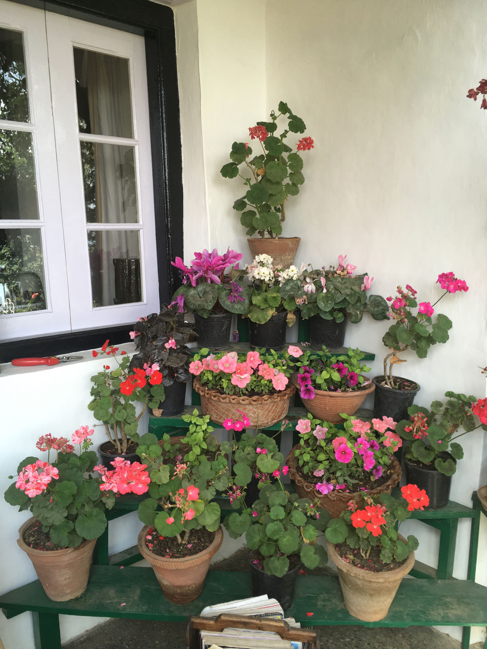 Photo of Sunnymead Estate, Not Your Usual Stay In Shimla by Bedi Sisters