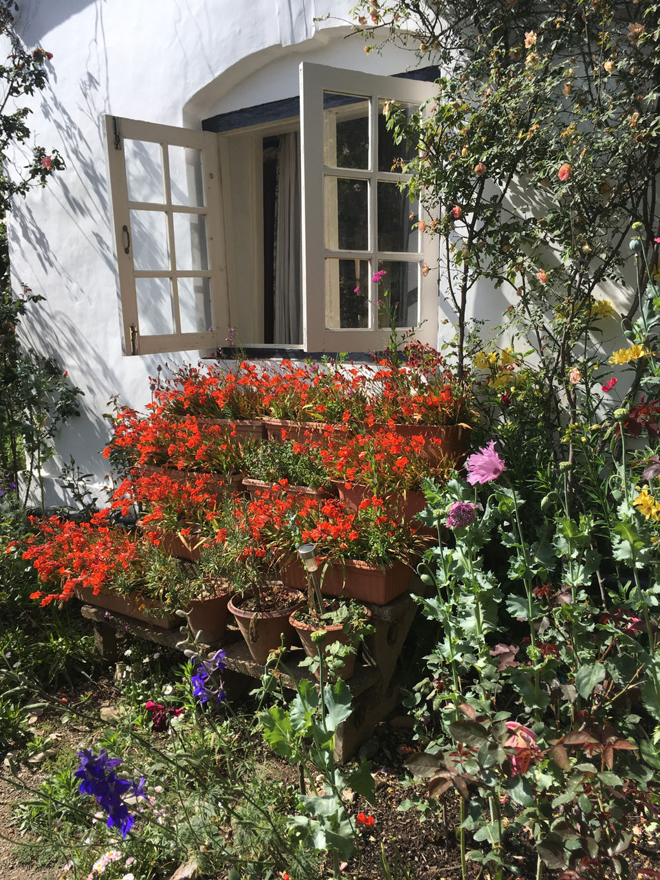 Photo of Sunnymead Estate, Not Your Usual Stay In Shimla by Bedi Sisters