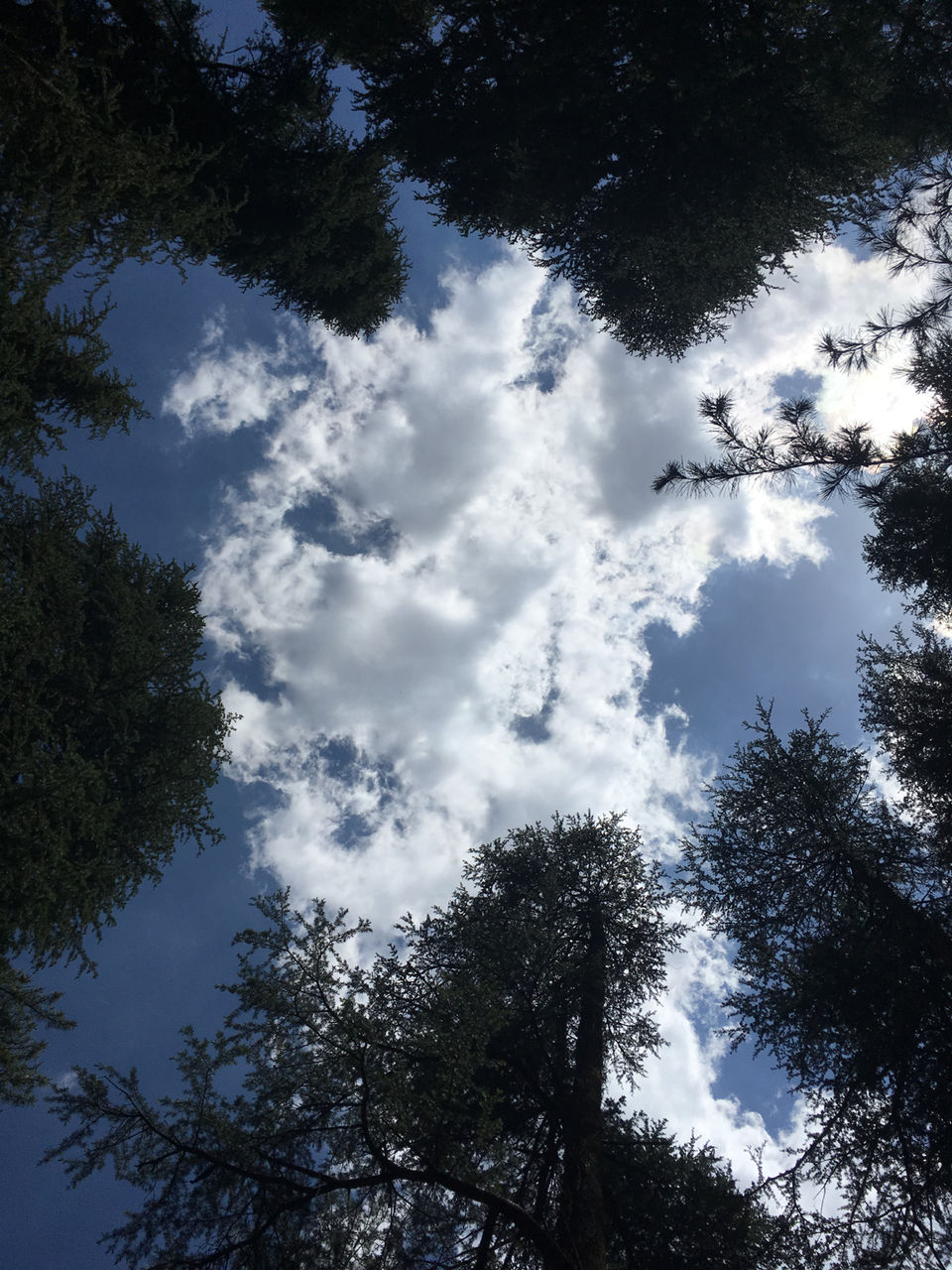 Photo of Sunnymead Estate, Not Your Usual Stay In Shimla by Bedi Sisters