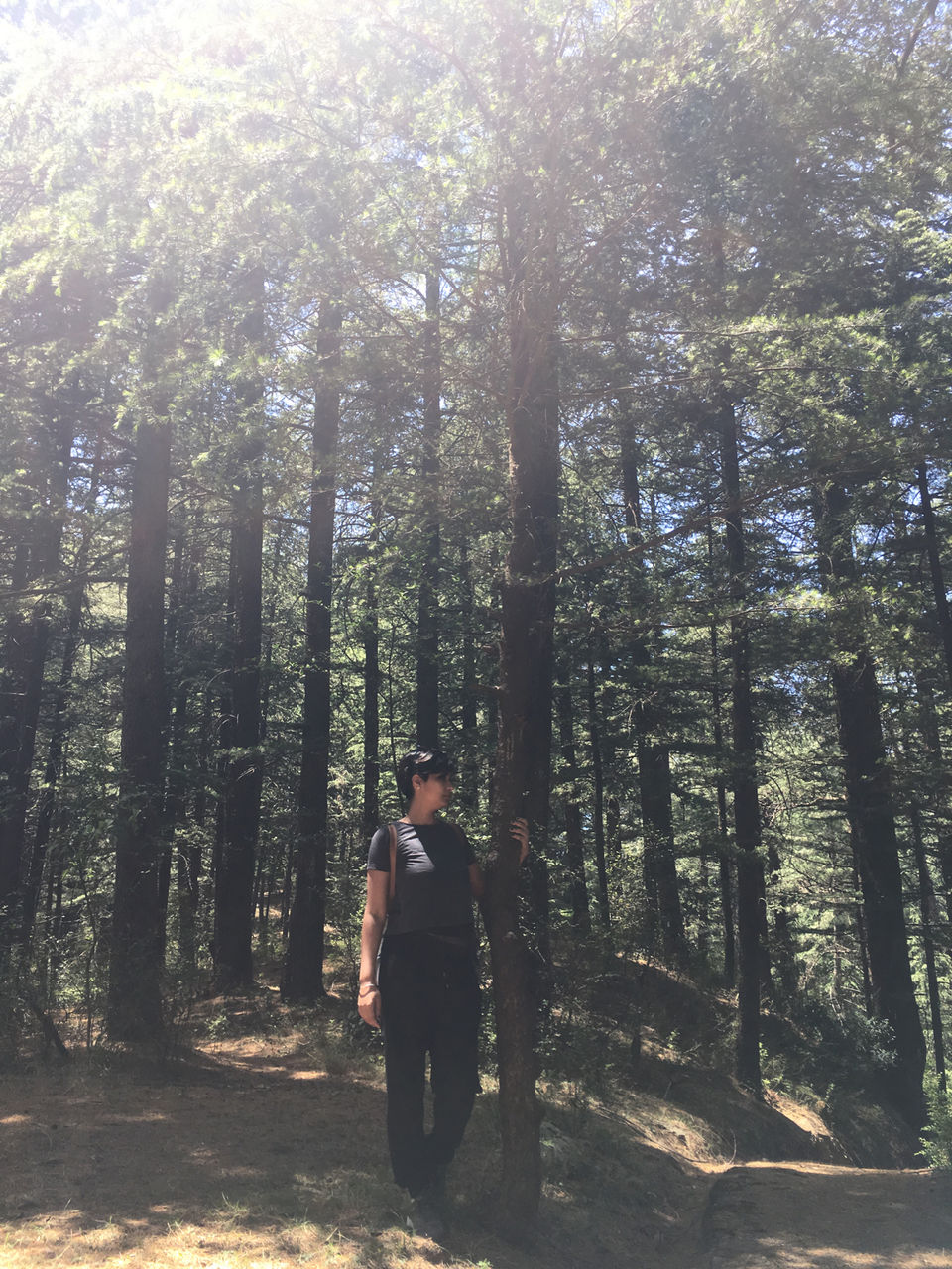 Photo of Sunnymead Estate, Not Your Usual Stay In Shimla by Bedi Sisters