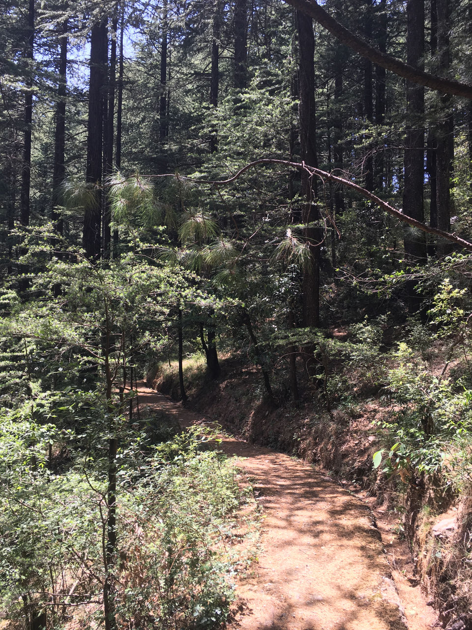 Photo of Sunnymead Estate, Not Your Usual Stay In Shimla by Bedi Sisters
