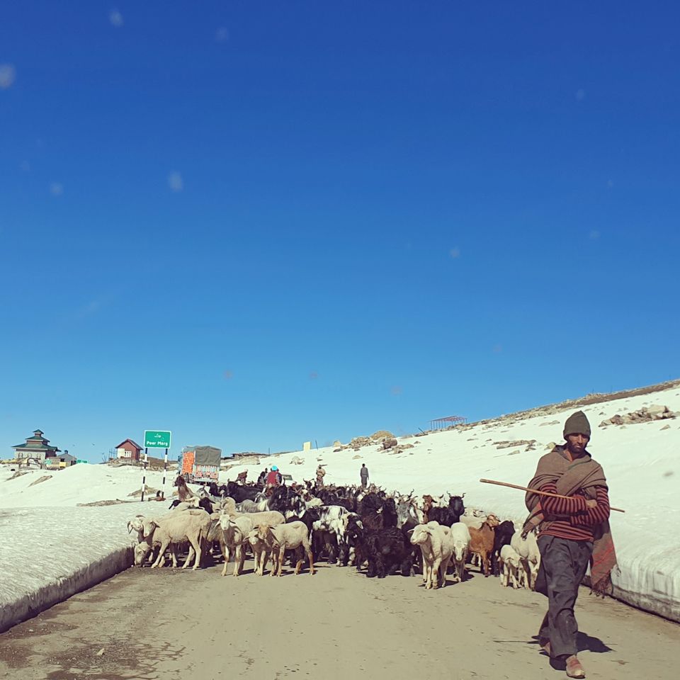 Photo of Bedi Sisters roadtripping to Kashmir by Bedi Sisters
