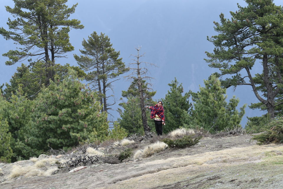 Photo of Kalpa, Reckong Peo, Himachal Pradesh, India by Nayan Gupta