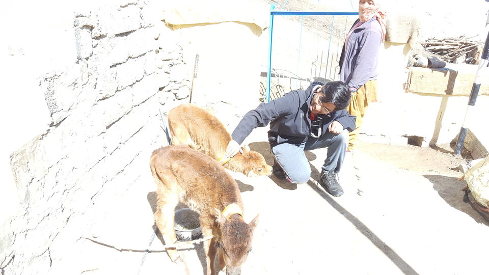 Photo of Kaza, Himachal Pradesh, India by Nayan Gupta