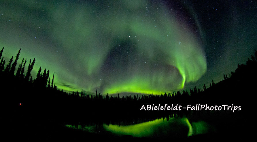 Photo of Alaska Fall Colors Tour 1/3 by April Bielefeldt