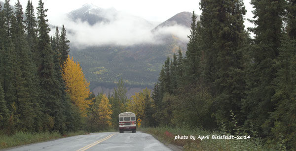 Photo of Alaska Fall Colors Tour 2/3 by April Bielefeldt