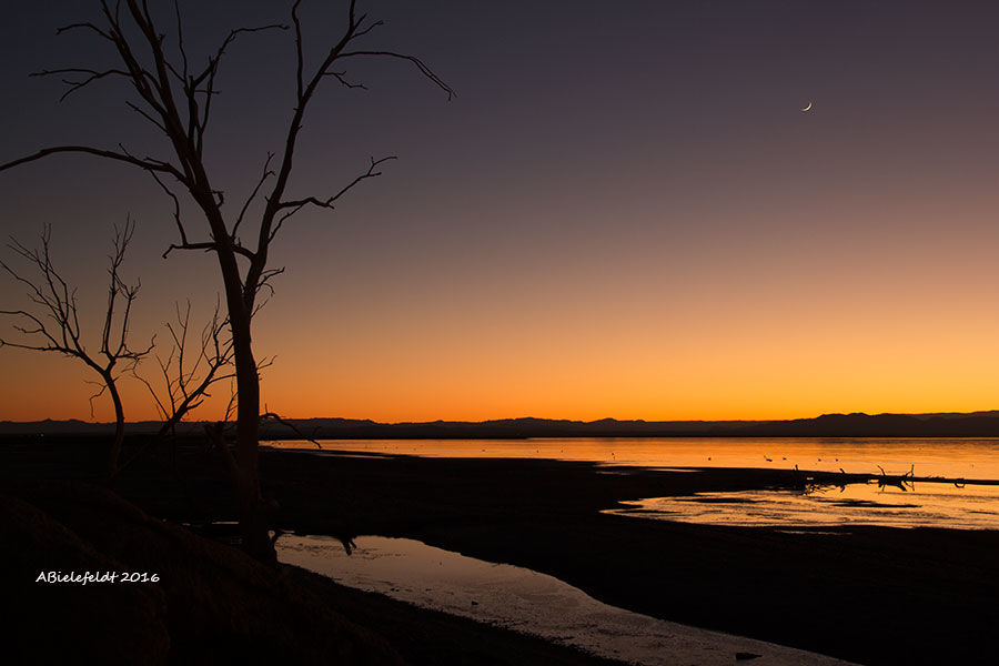 Photo of Salton Sea November 2017 1/4 by April Bielefeldt
