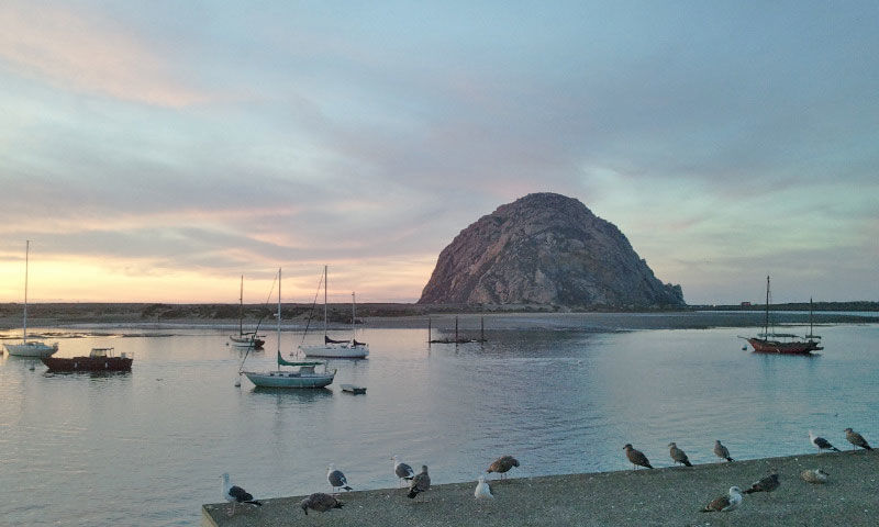 Photo of California Coast December 2017 3/4 by April Bielefeldt