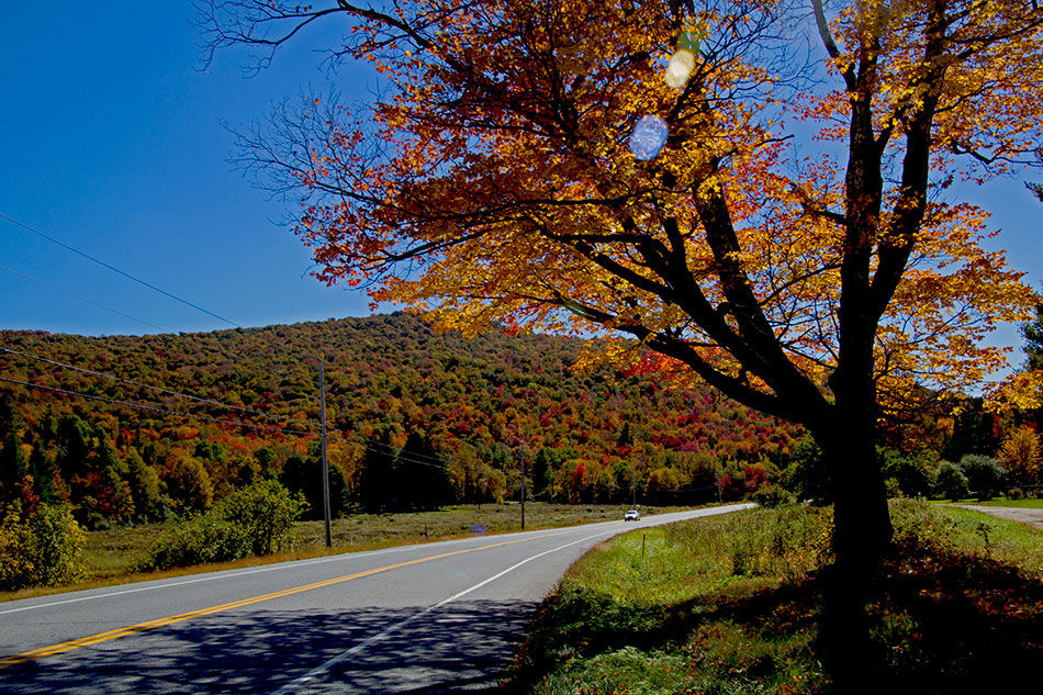 Photo of Vermont Fall Foliage Tour 5/5 by April Bielefeldt