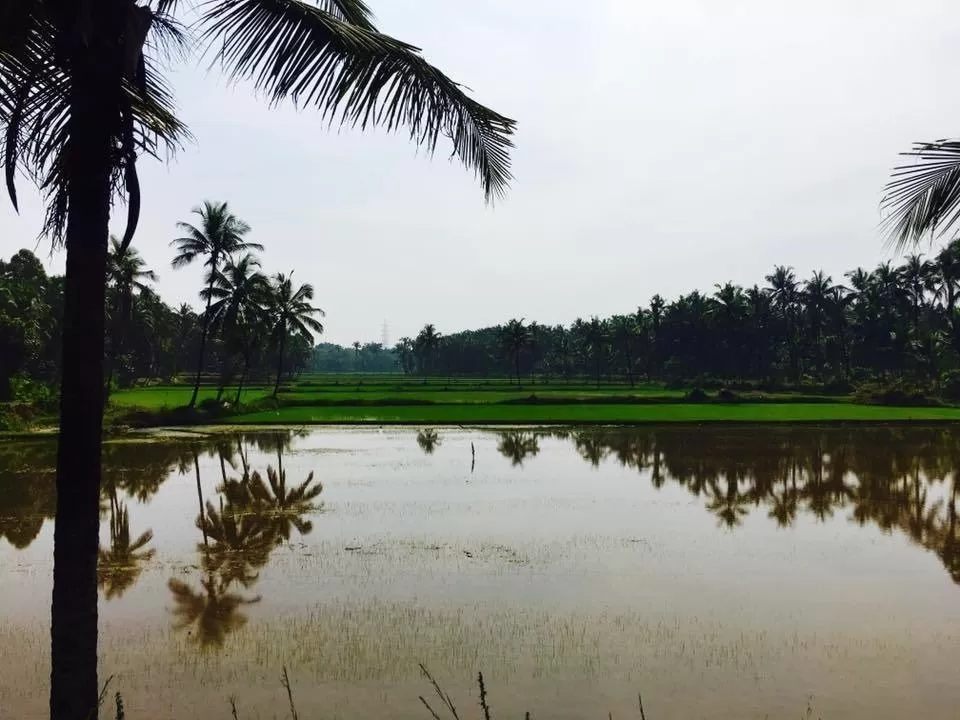 Photo of Belthangady, Karnataka, India by Prathap Javagal