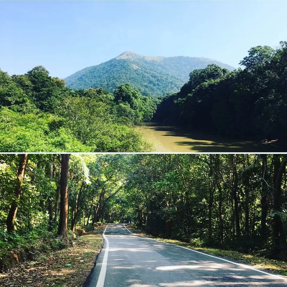 Photo of Western Ghats, Karnataka, India by Prathap Javagal