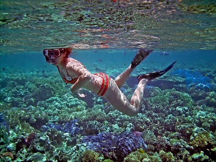 Photo of Excursões e viagens ao Mar Vermelho 1/1 by Egypt Tour