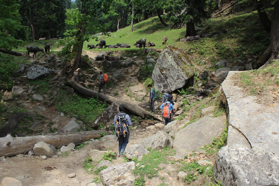 Photo of Hampta Pass trek: Paradise on earth 1/9 by Mayank Gupta