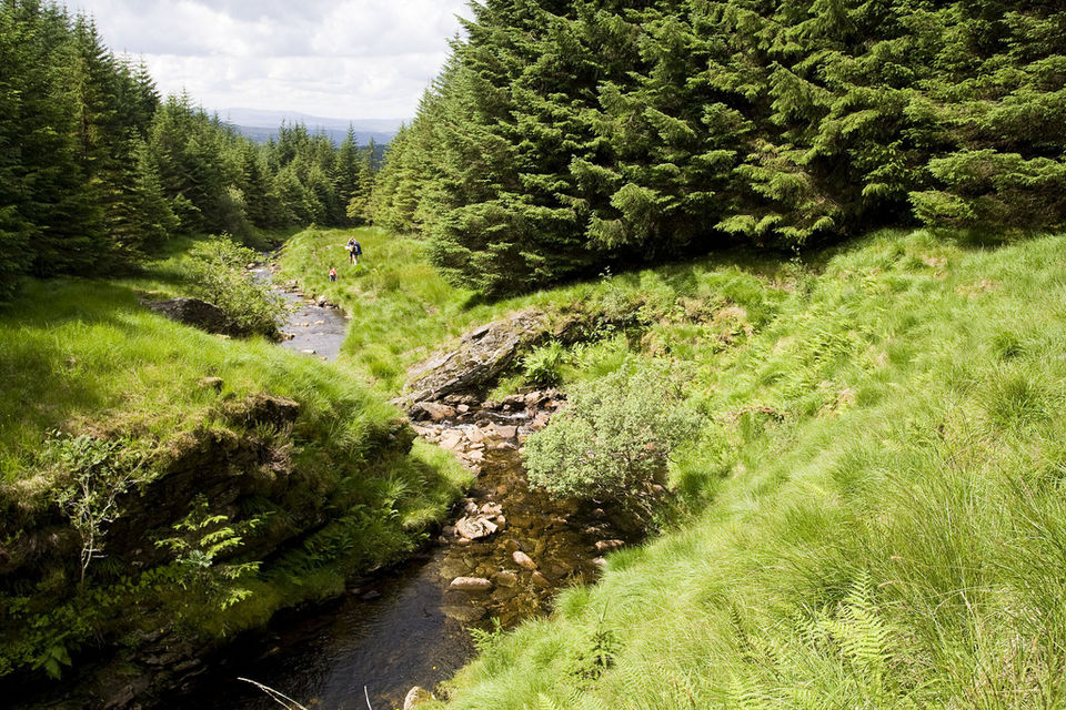Photo of Walks to take in Scotland 5/6 by Rebecca Brown