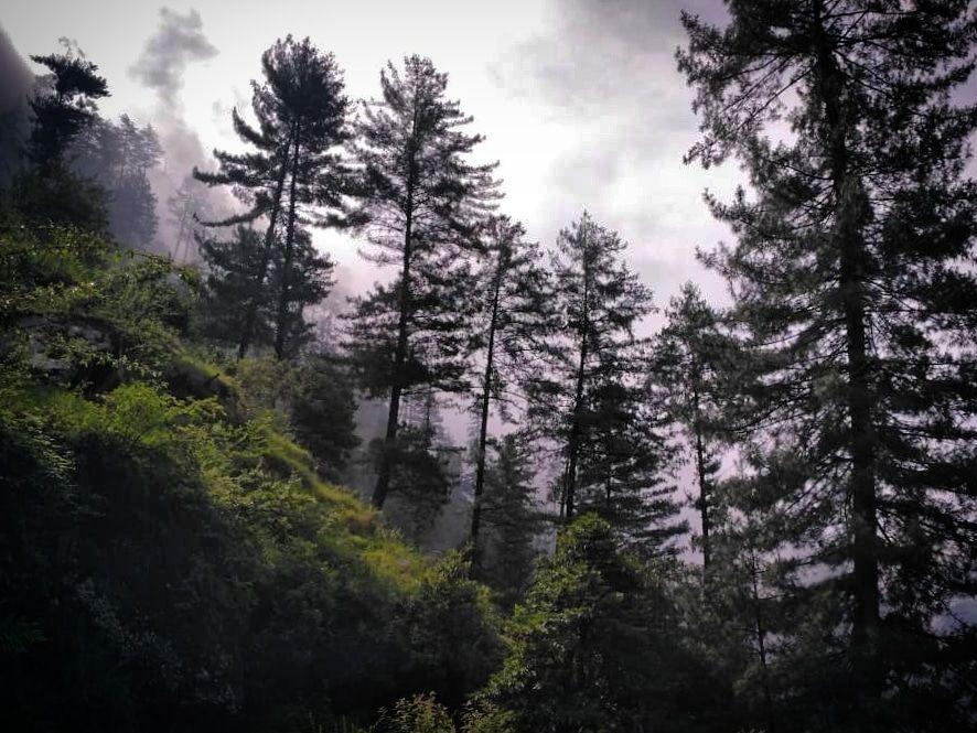 Photo of Adventurous Trek from Kasol to Rasol: Traversing through Himalayas in the Parvati Valley by Prateesha Gupta