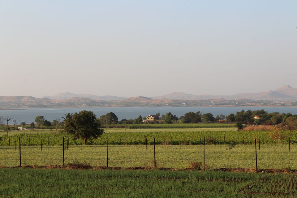 Photo of Nashik Vineyards: Sula and York are a Heaven on Earth for All Wine Lovers by Prateesha Gupta