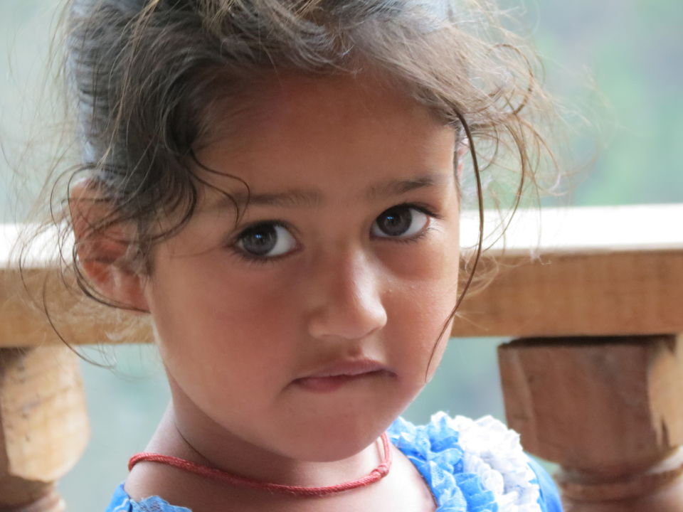 Photo of TIRTHAN- Explore before beauty gets exploited by Neha