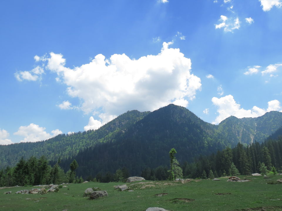 Photo of Sharchi, Himachal Pradesh, India by Neha