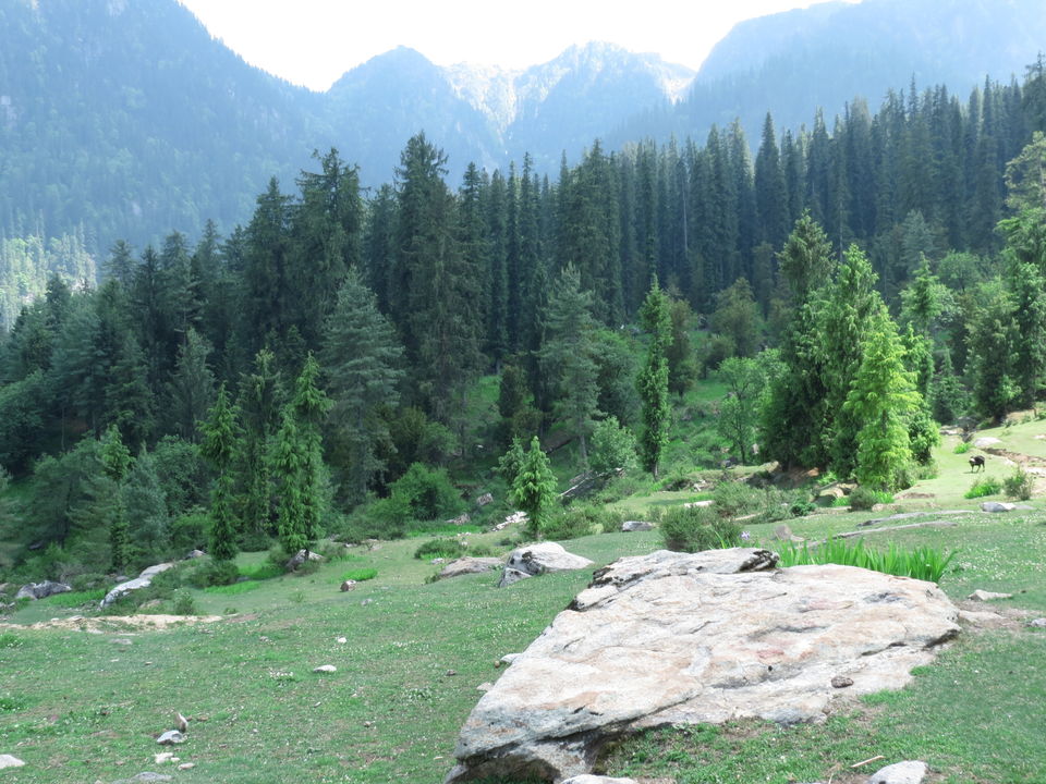 Photo of TIRTHAN- Explore before beauty gets exploited by Neha
