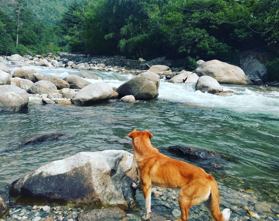 Photo of Tirthan Valley, Nagini, Himachal Pradesh, India by Neha