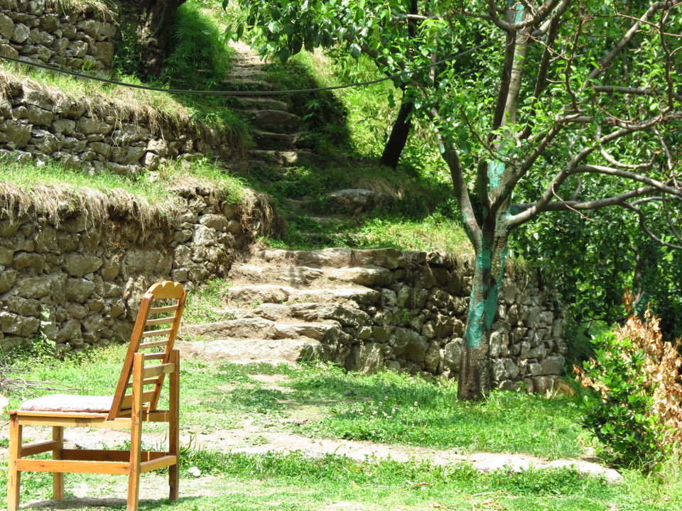 Photo of Tirthan Valley, Nagini, Himachal Pradesh, India by Neha