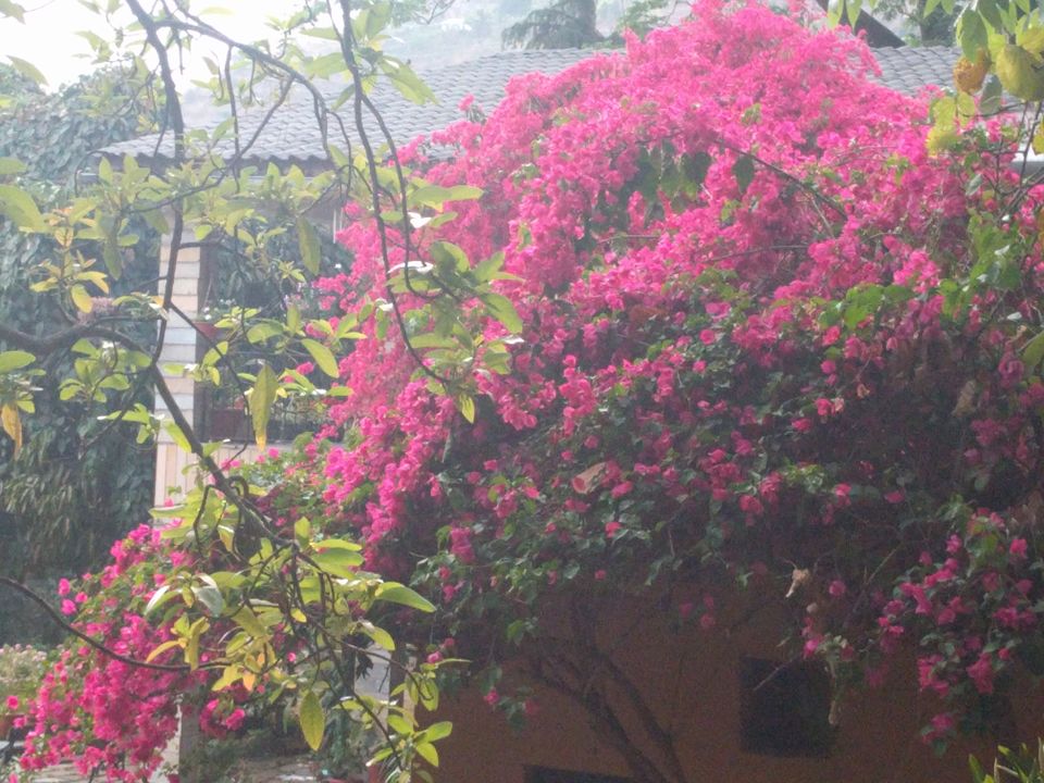 Photo of How to make the best out of Bhimtal? 11/18 by Neha