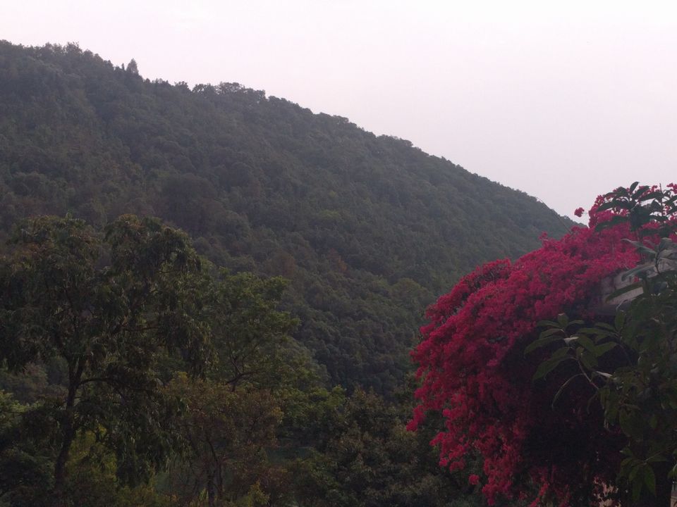 Photo of How to make the best out of Bhimtal? 12/18 by Neha