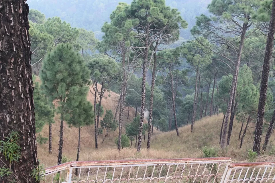 Photo of Cantonment Board Kasauli, Kasauli, Himachal Pradesh, India by Shashank Kulshrestha