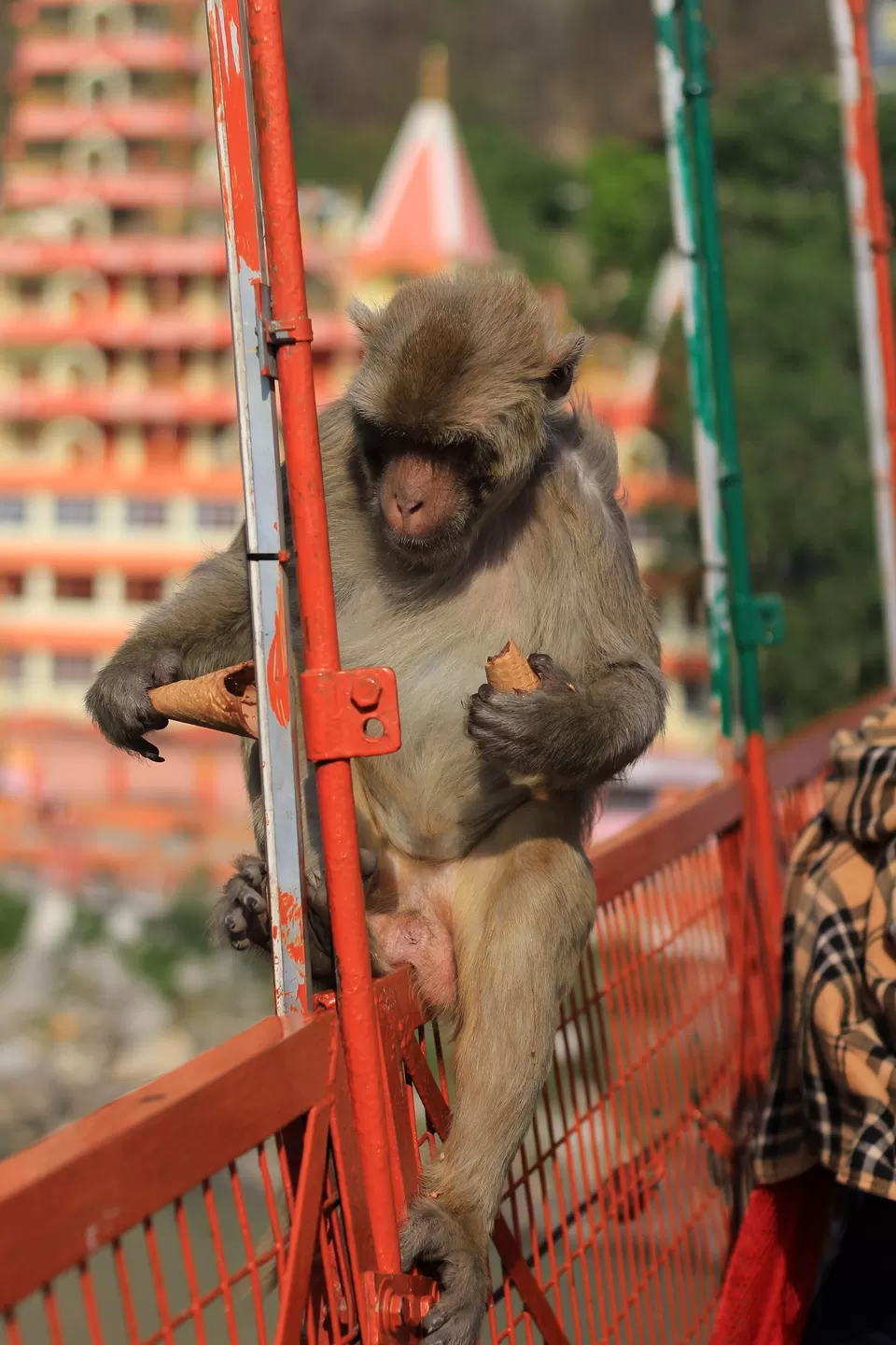 Photo of Rishikesh, Uttarakhand, India by Shashank Kulshrestha
