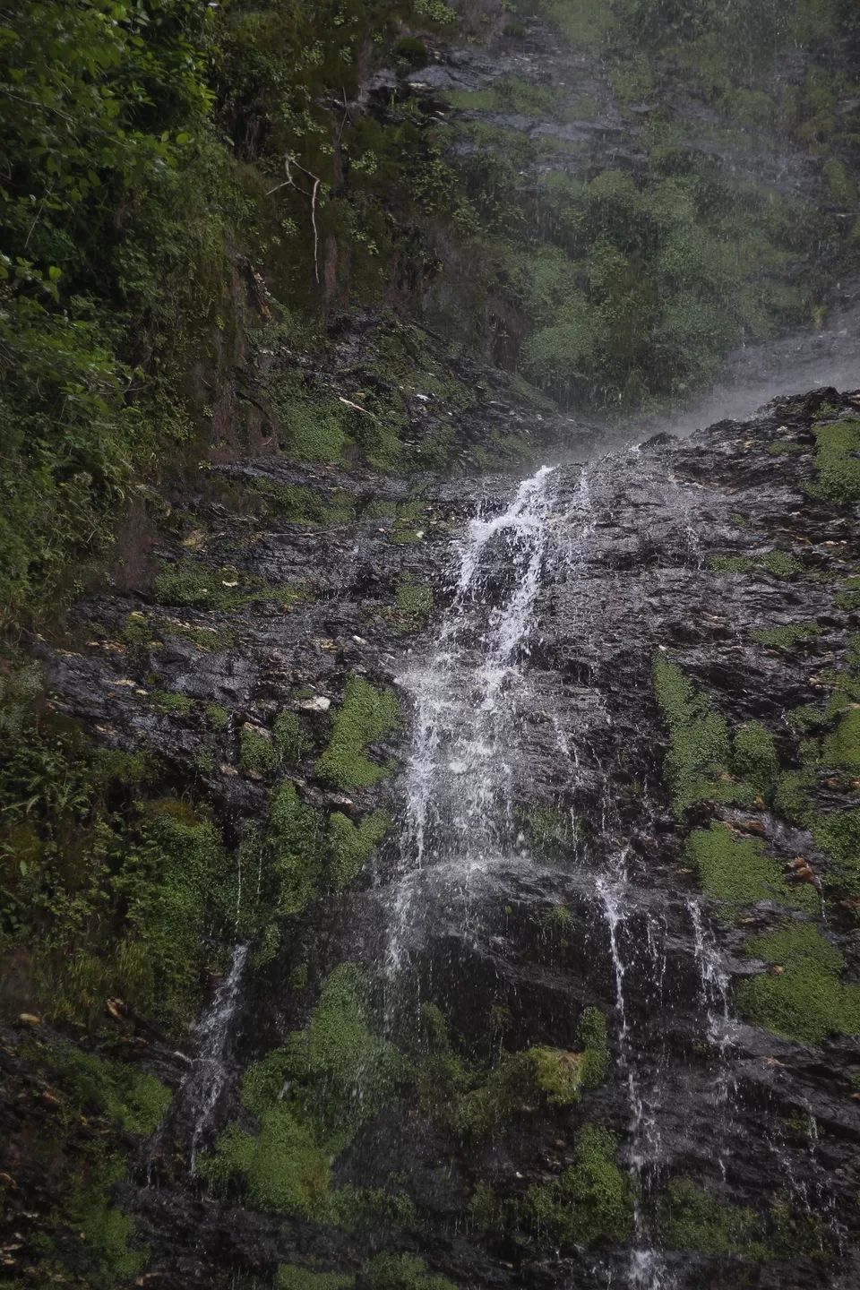 Photo of Phata, Uttarakhand, India by Shashank Kulshrestha