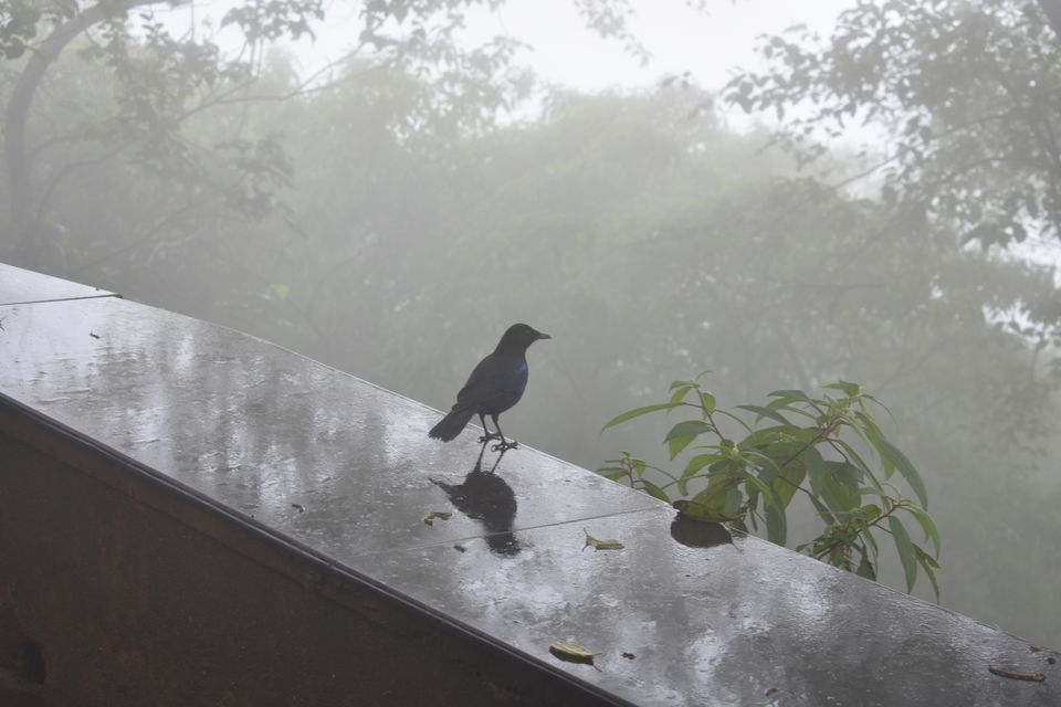 Photo of Kerala diaries by Ritesh Mohan