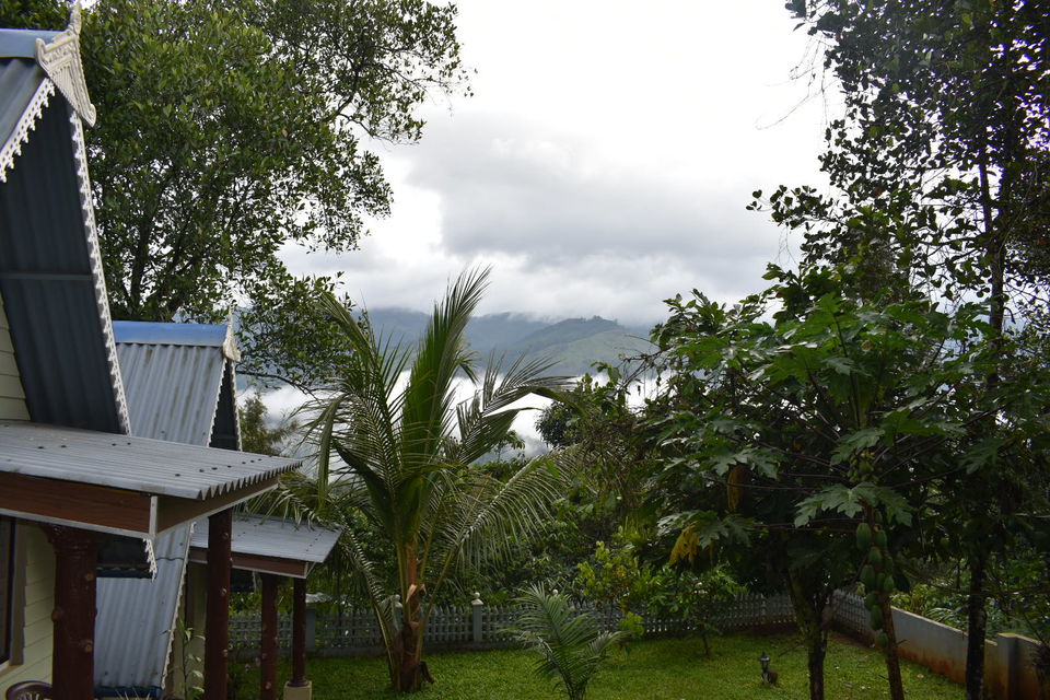 Photo of Munnar, Kerala, India by Ritesh Mohan