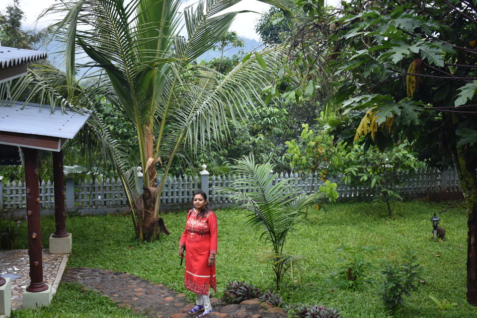 Photo of Munnar, Kerala, India by Ritesh Mohan