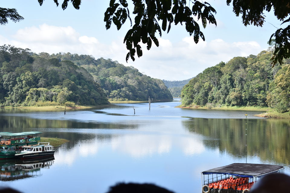 Photo of Thekkady, Kumily, Kerala, India by Ritesh Mohan