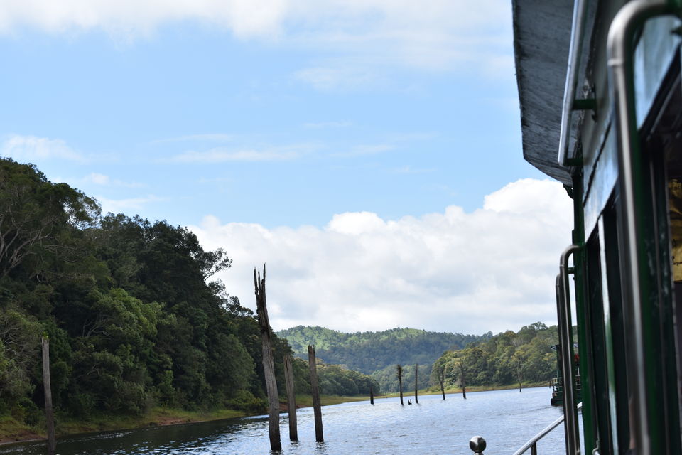 Photo of Thekkady, Kumily, Kerala, India by Ritesh Mohan