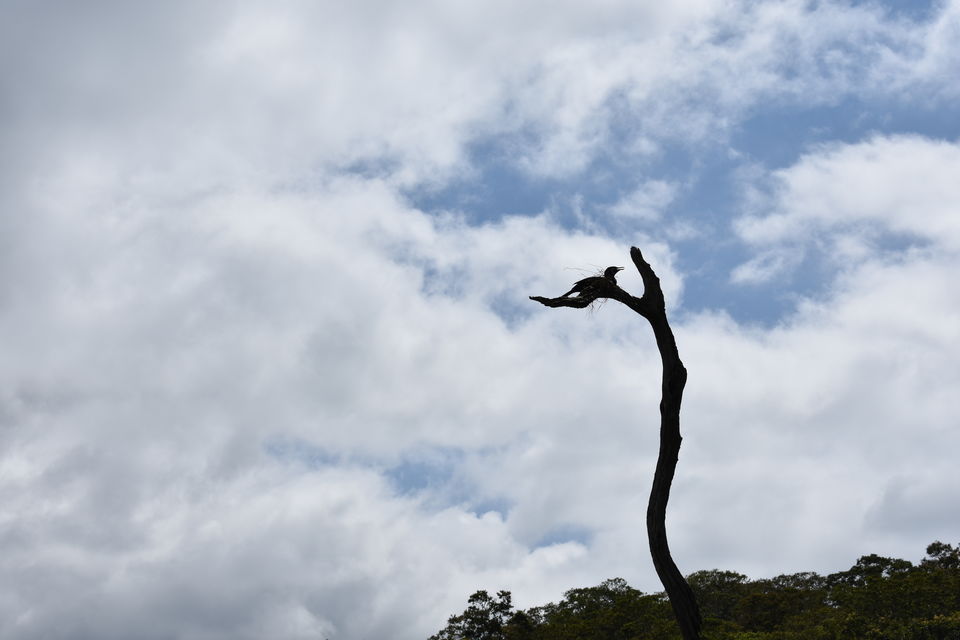 Photo of Thekkady, Kumily, Kerala, India by Ritesh Mohan